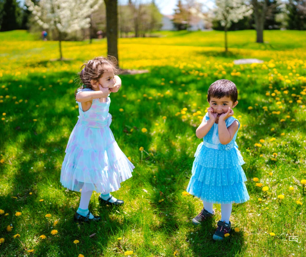 Image gallery image